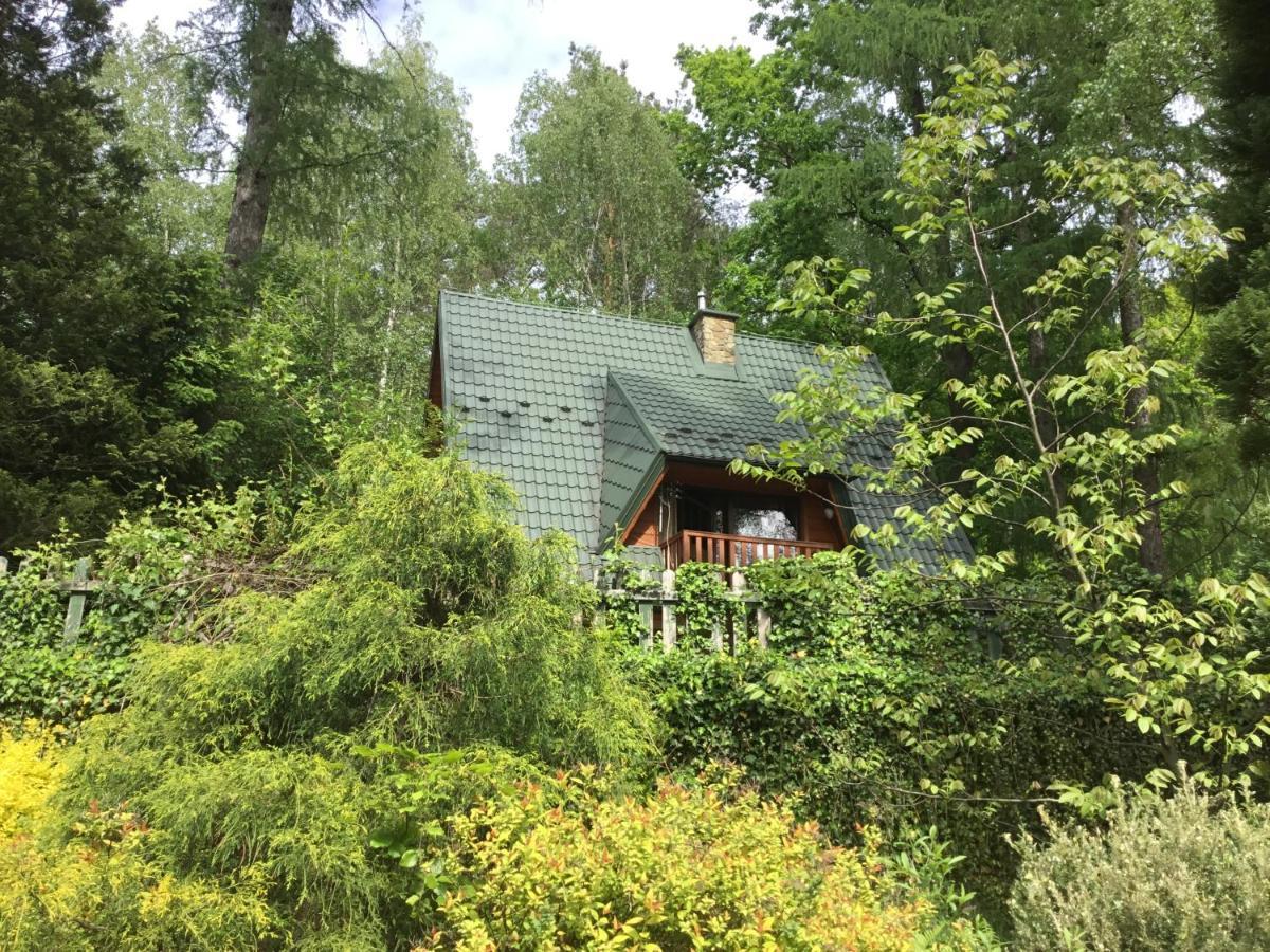 Domek W Lesie Leki  Zewnętrze zdjęcie